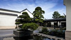 庭院設(shè)計(jì)主題:中式景觀庭院設(shè)計(jì)應(yīng)遵循哪些原則